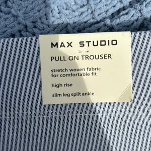 Max Studio Trouser